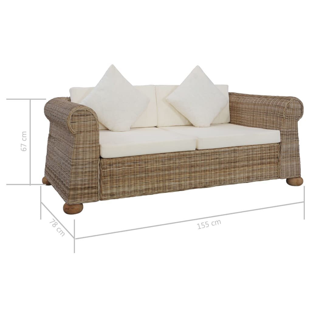 vidaXL divvietīgs dīvāns ar matračiem, dabīga rotangpalma cena un informācija | Dīvāni | 220.lv