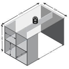 FMD rakstāmgalds ar sānu plauktiem, 117x72,9x73,5 cm, balts cena un informācija | Datorgaldi, rakstāmgaldi, biroja galdi | 220.lv