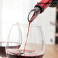 InnovaGoods vīna atdzesētājs ar aeratoru cena un informācija | Virtuves piederumi | 220.lv