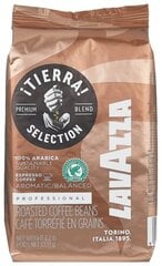 Kafijas pupiņas Lavazza Tierra Selection 1 kg цена и информация | Кофе, какао | 220.lv