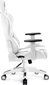 Spēļu krēsls Diablo X-One Normal, balts цена и информация | Biroja krēsli | 220.lv