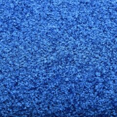 vidaXL durvju paklājs, mazgājams, zils, 90x120 cm cena un informācija | Kājslauķi | 220.lv