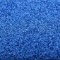 vidaXL durvju paklājs, mazgājams, zils, 90x150 cm цена и информация | Kājslauķi | 220.lv