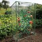 Nature tomātu lecekts, 100x50x150 cm цена и информация | Siltumnīcas | 220.lv