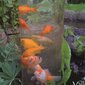 Ubbink zivju tornis, 100 cm, akrils cena un informācija | Dārza baseini un to kopšanas līdzekļi | 220.lv
