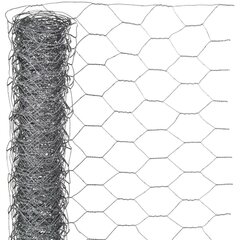 Nature sieta žogs, sešstūrains, 0,5x10 m, 25 mm, cinkots tērauds цена и информация | Заборы и принадлежности к ним | 220.lv