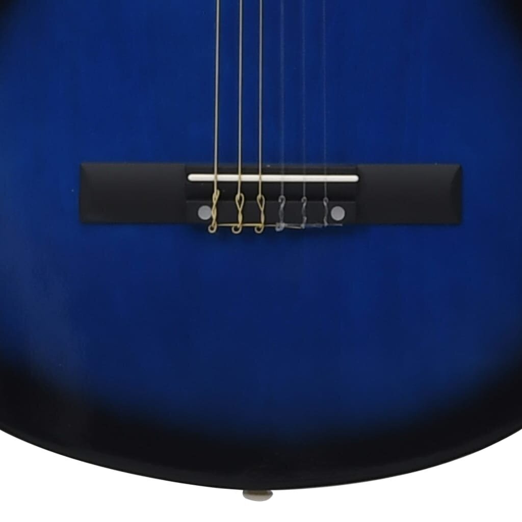 vidaXL akustiskā ģitāra ar 6 stīgām, vesterna stils, 38", zila cena un informācija | Ģitāras | 220.lv
