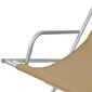 vidaXL atgāžami pludmales krēsli, 2 gab., tērauds, pelēkbrūni цена и информация | Sauļošanās krēsli | 220.lv