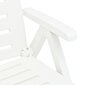 vidaXL salokāms sauļošanās zvilnis, balta plastmasa cena un informācija | Sauļošanās krēsli | 220.lv