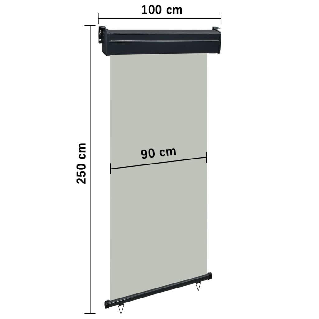 vidaXL balkona sānu markīze, pelēka, 100x250 cm cena un informācija | Saulessargi, markīzes un statīvi | 220.lv