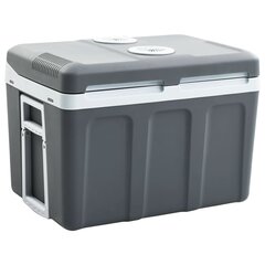 vidaXL pārnēsājama dzesēšanas kaste, termoelektriska, 45 L, A++ цена и информация | Сумки-холодильники | 220.lv