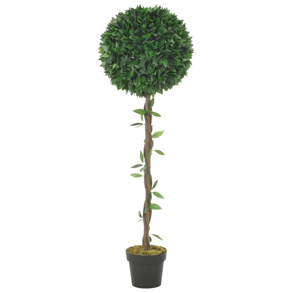 vidaXL mākslīgais augs, dižciltīgais laurs ar podiņu, zaļš, 130 cm cena un informācija | Mākslīgie ziedi | 220.lv