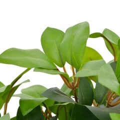vidaXL mākslīgais augs, lauru koks ar podiņu, zaļš, 40 cm cena un informācija | Mākslīgie ziedi | 220.lv