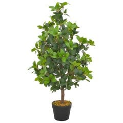 vidaXL mākslīgais augs, lauru koks ar podiņu, zaļš, 90 cm cena un informācija | Mākslīgie ziedi | 220.lv