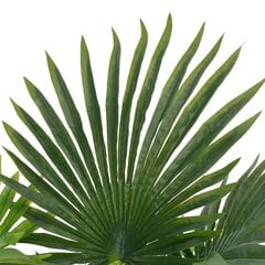 vidaXL mākslīgā palma ar podiņu, 70 cm, zaļa cena un informācija | Mākslīgie ziedi | 220.lv