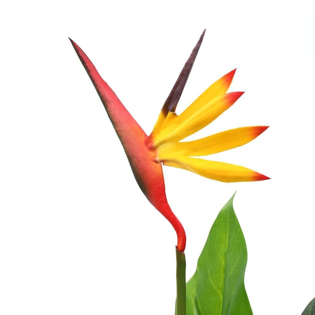 vidaXL mākslīgais augs, Karaliskā strelīcija, Paradīzes putns, 66 cm цена и информация | Mākslīgie ziedi | 220.lv