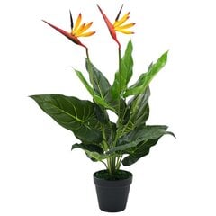 vidaXL mākslīgais augs, Karaliskā strelīcija, Paradīzes putns, 66 cm cena un informācija | Mākslīgie ziedi | 220.lv