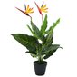 vidaXL mākslīgais augs, Karaliskā strelīcija, Paradīzes putns, 66 cm цена и информация | Mākslīgie ziedi | 220.lv
