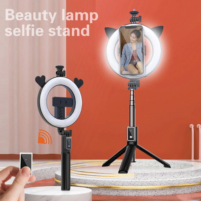 CP X2 LED 16cm Uzlādējama Selfie Lampa ar BT Pulti & Rokturi + Grīdas statīvu 20-90cm + Telefona stiprinājums cena un informācija | Apgaismojums fotografēšanai | 220.lv