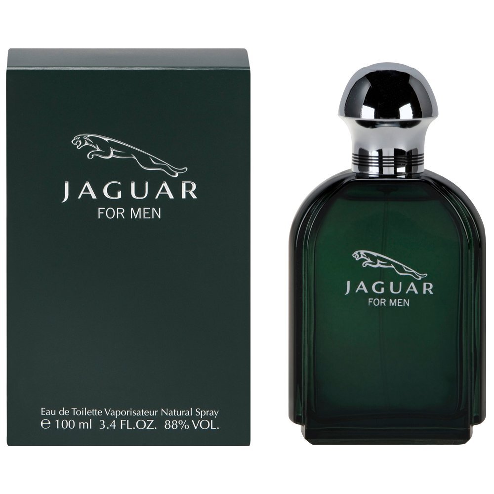 Jaguar Jaguar EDT vīriešiem 100 ml цена и информация | Vīriešu smaržas | 220.lv