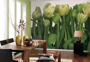 Foto tapetes Tulips cena un informācija | Fototapetes | 220.lv