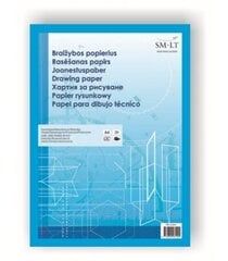 Чертежная бумага A3 10 листов 160г цена и информация | Тетради и бумажные товары | 220.lv