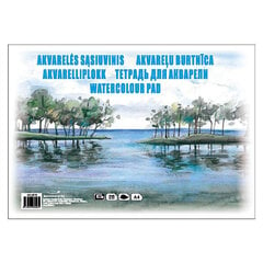 Акварельный альбом Watercolour Pad A4, 10 листов цена и информация | Тетради и бумажные товары | 220.lv