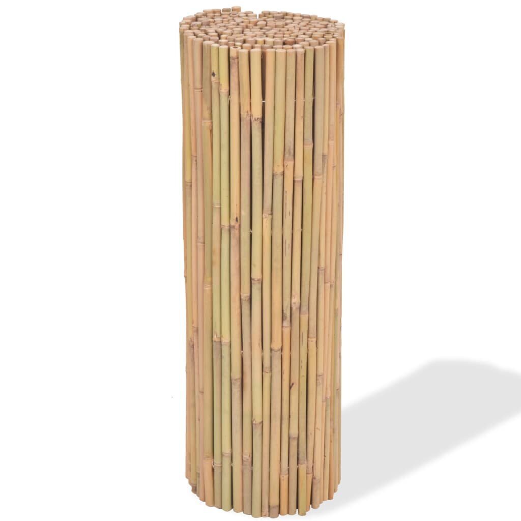 vidaXL bambusa žogs, 300x100 cm cena un informācija | Žogi un piederumi | 220.lv