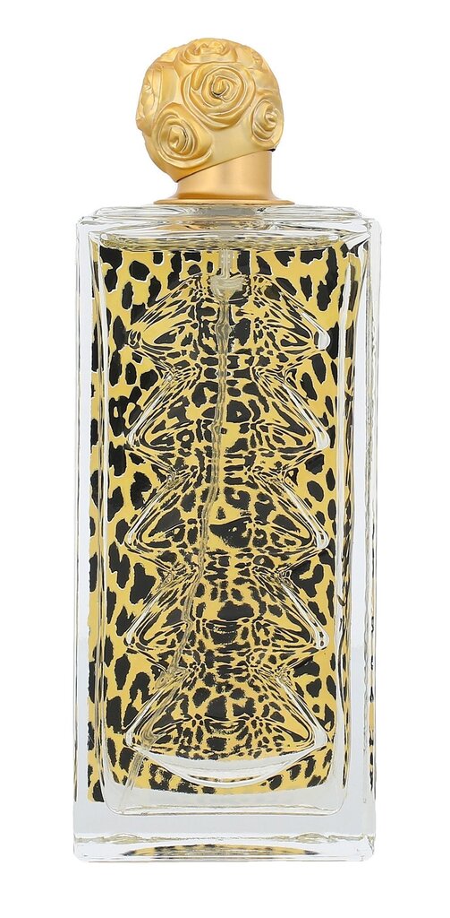 Tualetes ūdens Salvador Dali Dali Wild EDT sievietēm 100 ml цена и информация | Sieviešu smaržas | 220.lv