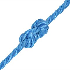 vidaXL vīta virve, polipropilēns, 14 mm, 100 m, zila cena un informācija | Dārza instrumenti | 220.lv