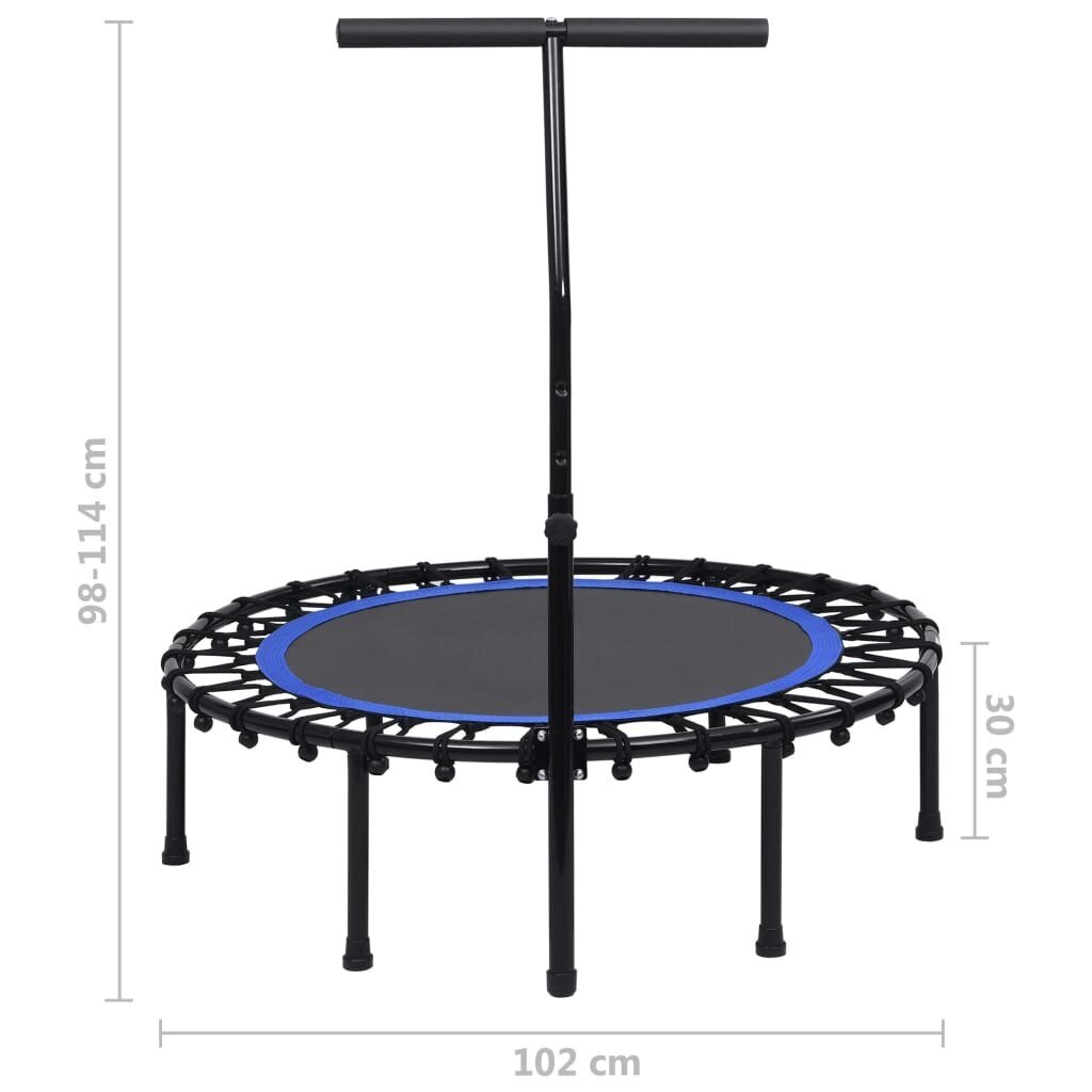 vidaXL fitnesa batuts ar rokturi, 102 cm цена и информация | Sporta batuti | 220.lv