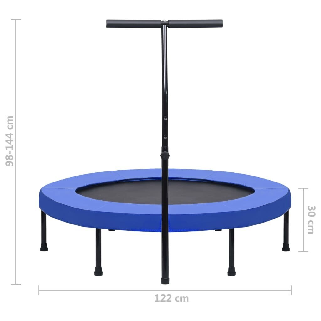 vidaXL fitnesa batuts ar rokturi un aizsargapmali, 122 cm cena un informācija | Sporta batuti | 220.lv