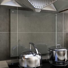 vidaXL virtuves panelis, 70x60 cm, caurspīdīgs rūdīts stikls цена и информация | Комплектующие для кухонной мебели | 220.lv