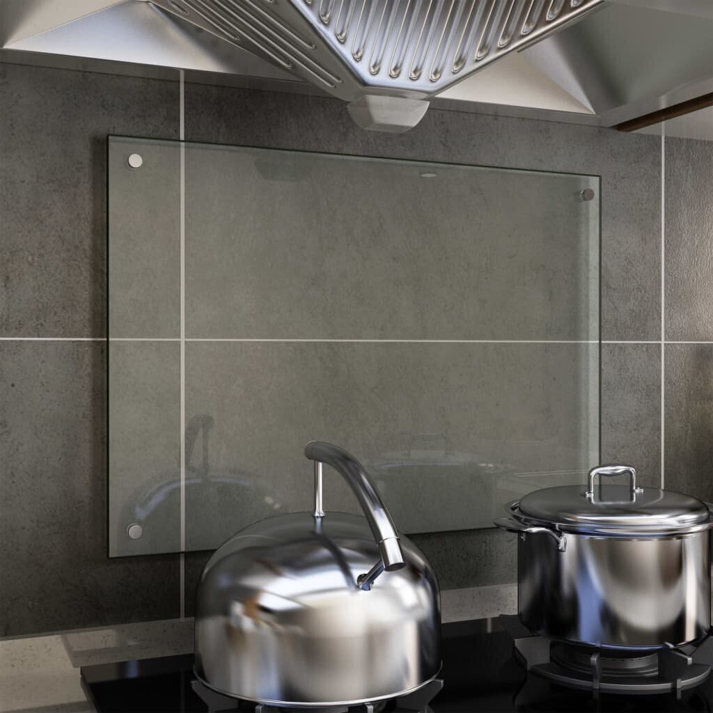 vidaXL virtuves panelis, 70x50 cm, caurspīdīgs rūdīts stikls cena un informācija | Virtuves furnitūra | 220.lv