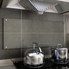 vidaXL virtuves panelis, 100x40 cm, rūdīts stikls, caurspīdīgs цена и информация | Комплектующие для кухонной мебели | 220.lv