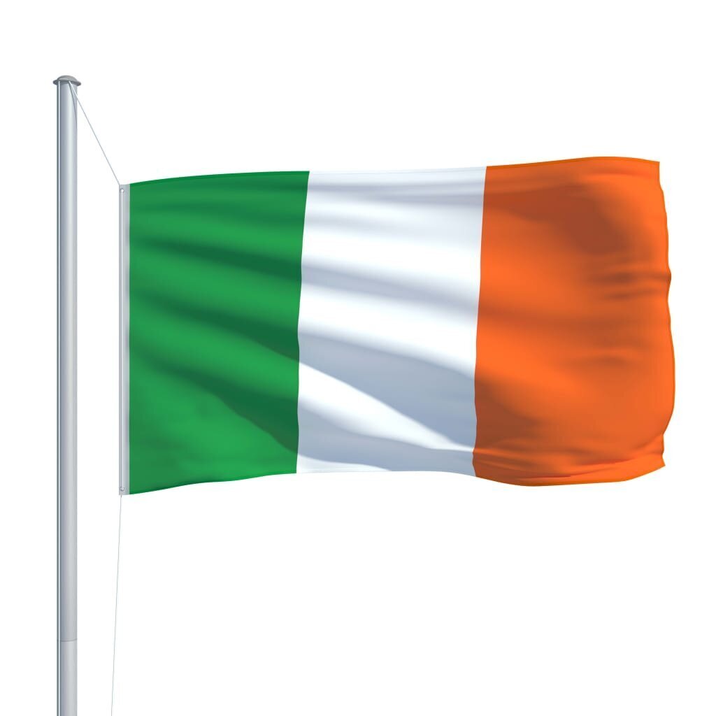 vidaXL Īrijas karogs, 90x150 cm cena un informācija | Karogi un aksesuāri | 220.lv