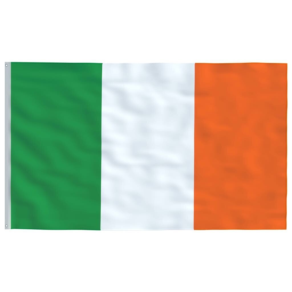 vidaXL Īrijas karogs, 90x150 cm цена и информация | Karogi un aksesuāri | 220.lv