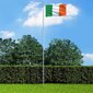 vidaXL Īrijas karogs, 90x150 cm цена и информация | Karogi un aksesuāri | 220.lv