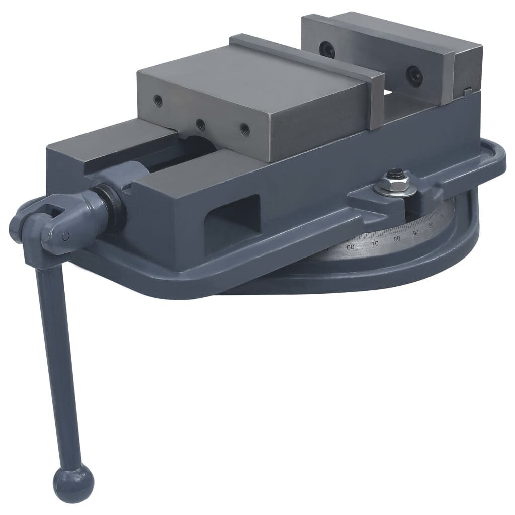 vidaXL grozāmas skrūvspīles, čuguns, 160 mm цена и информация | Rokas instrumenti | 220.lv