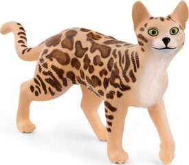 Фигурка кошки бенгальской породы Schleich цена и информация | Конструктор автомобилей игрушки для мальчиков | 220.lv