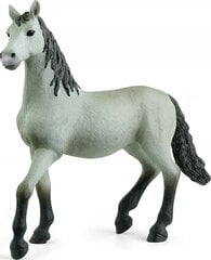 Фигурка испанского молодого коня Schleich цена и информация | Игрушки для мальчиков | 220.lv