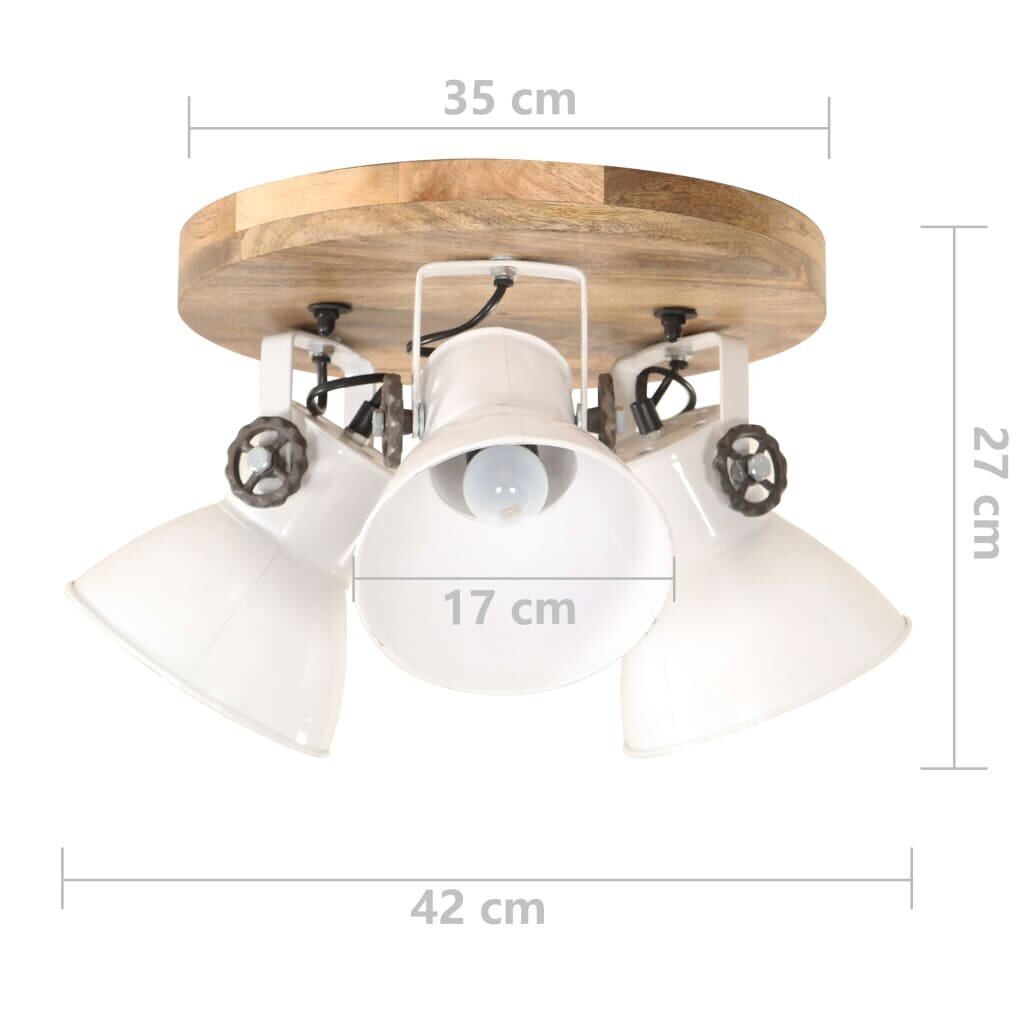 vidaXL griestu lampa, industriāls dizains, balta, 42x27 cm, 25 W, E27 cena un informācija | Griestu lampas | 220.lv