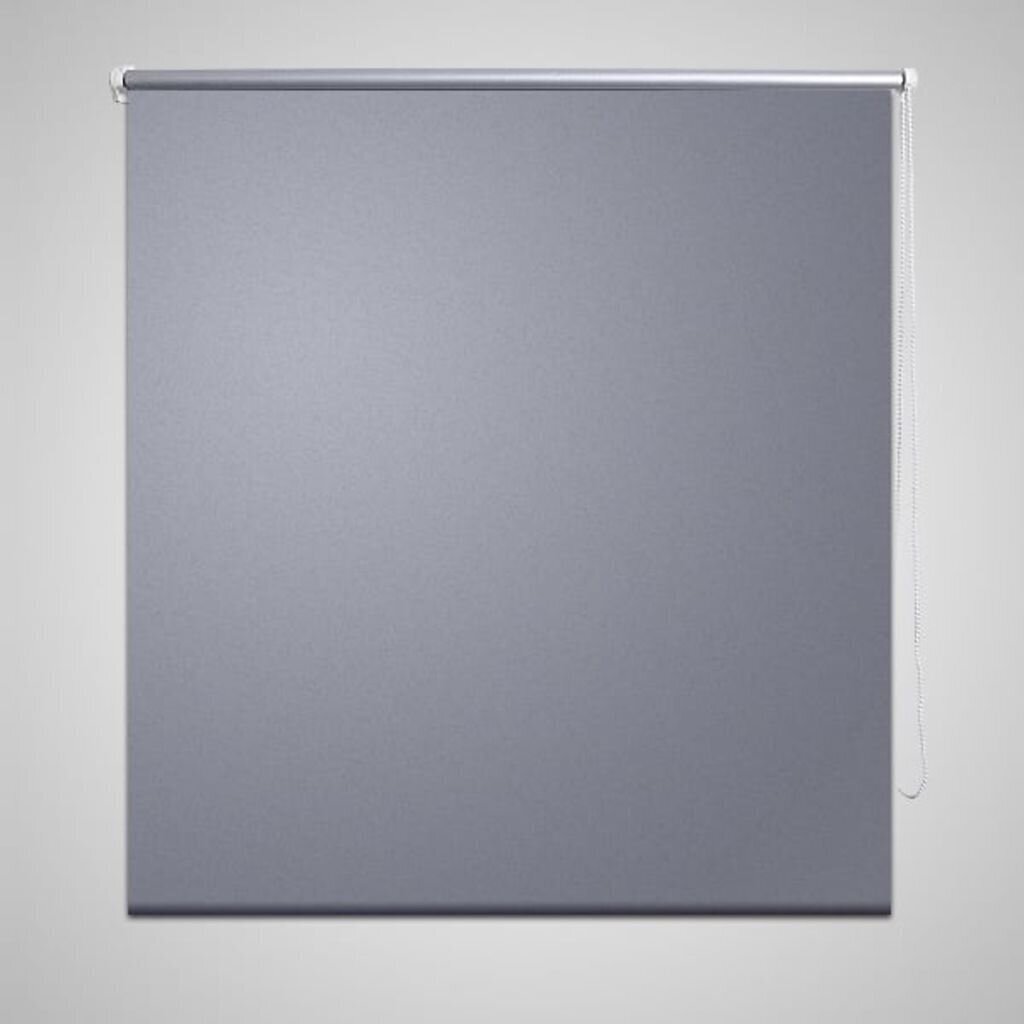 Aptumšojošas ruļļu žalūzijas, 120 x 230 cm, pelēkas цена и информация | Žalūzijas | 220.lv
