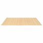 vidaXL paklājs, bambuss, 100x160 cm, dabīgā krāsā cena un informācija | Paklāji | 220.lv
