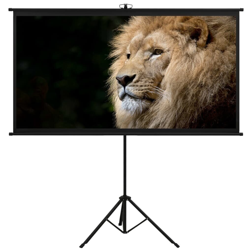 vidaXL projekcijas ekrāns ar statīvu, 120", 16:9 cena un informācija | Ekrāni projektoriem | 220.lv