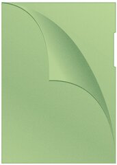 Папка-конверт 120мик А4, зеленая, 100 шт. цена и информация | Канцелярия | 220.lv