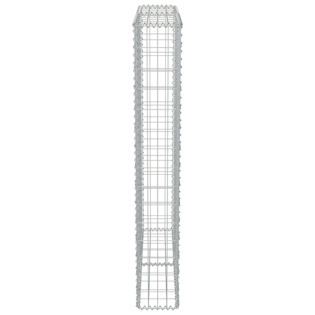 vidaXL gabions ar vāku, cinkots tērauds, 100x20x150 cm цена и информация | Žogi un piederumi | 220.lv