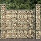 vidaXL gabions ar vāku, cinkots tērauds, 600x50x200 cm цена и информация | Žogi un piederumi | 220.lv