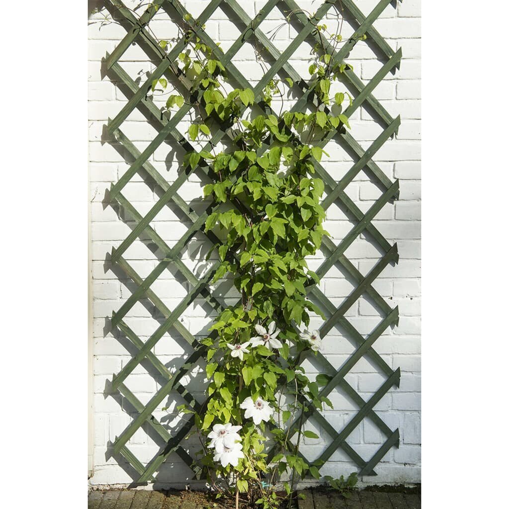 Nature dārza špaleras, 2 gab., zaļas, 50x150 cm, koks cena un informācija | Žogi un piederumi | 220.lv