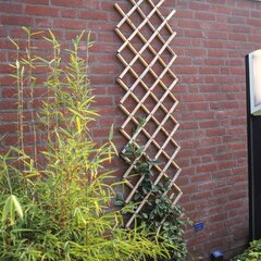 Nature dārza špalera, 100x200 cm, bambuss, 6040722 cena un informācija | Žogi un piederumi | 220.lv